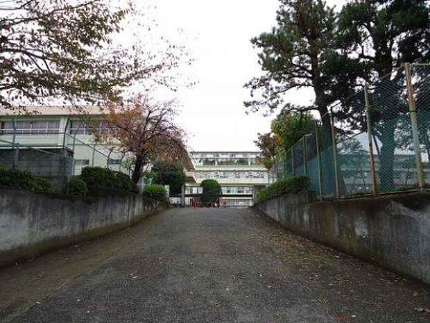 鶴川第三小学校（約733m）