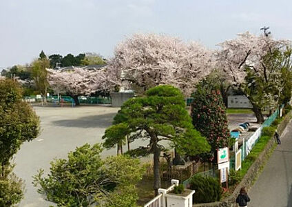 栗原小学校 849m(徒歩11分)