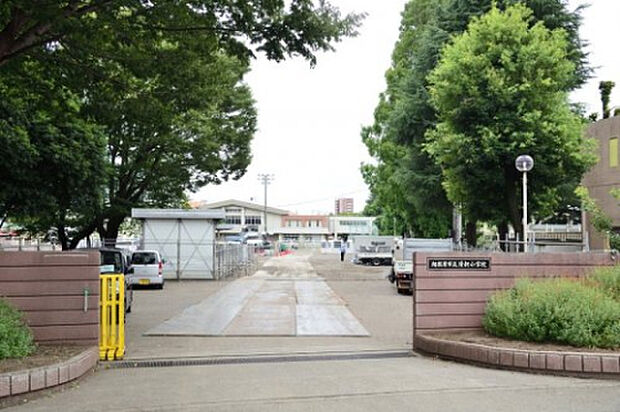 清新小学校（約788m）