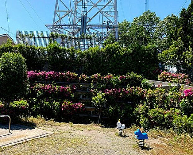 金井井戸窪梅の木公園(約701m)