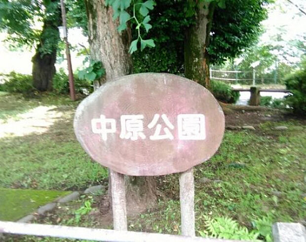 中原公園(約25m)