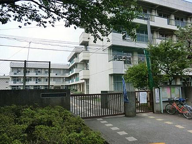 山崎小学校（約776m）