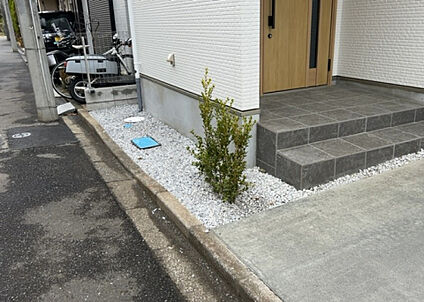 庭
