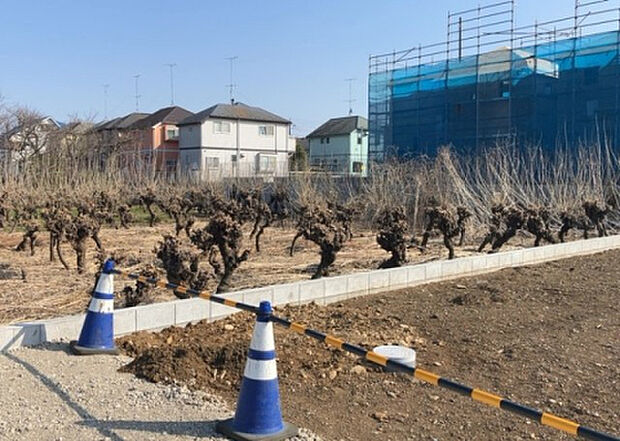 【物件からの展望_3】田園風景が味わえる土地に住みたい！海や山の見える自然豊かな土地に住みたい！などご要望に併せて当社営業がご提案させて頂きます。当社が抱えている数ある物件の中からお客様が納得する1件を一緒に探しましょう！