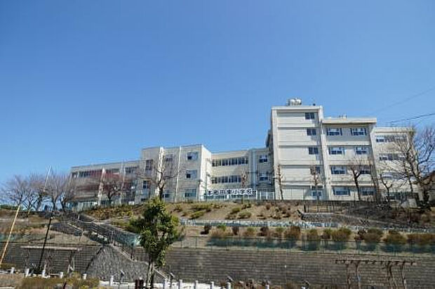本町田東小学校（約340m）