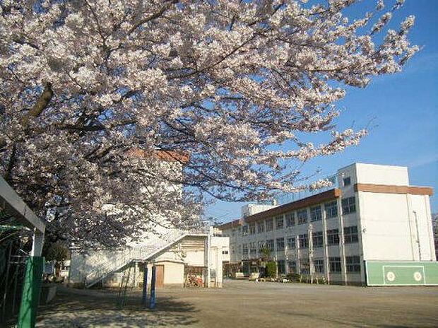 第二小学校（約289m）