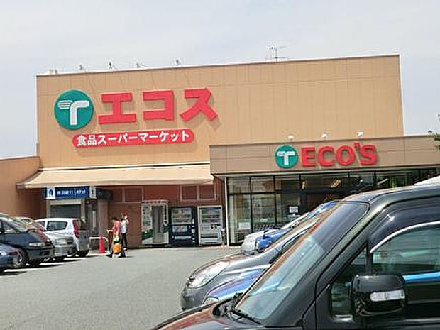 エコス城山店（約654m）
