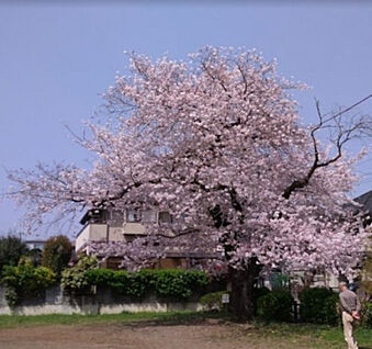 小門公園 291m(徒歩4分)