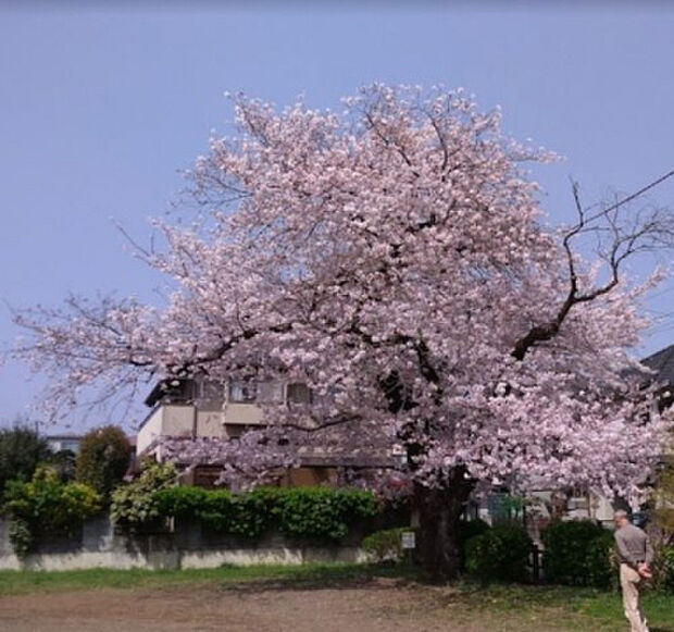 小門公園（約291m）