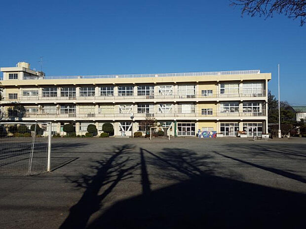 緑台小学校（約788m）