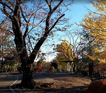 座間公園 1235m(徒歩16分)