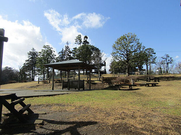 大坂台公園（約1,261m）