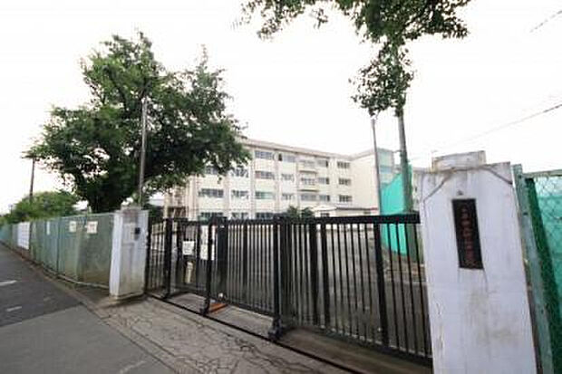 四谷中学校(約577m)