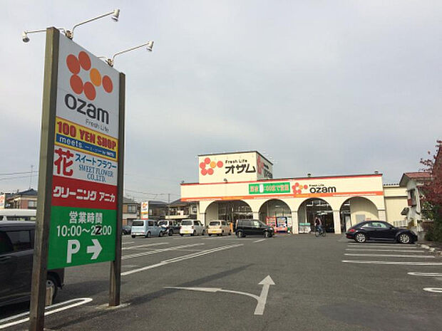 スーパーオザム大楽寺店(約529m)