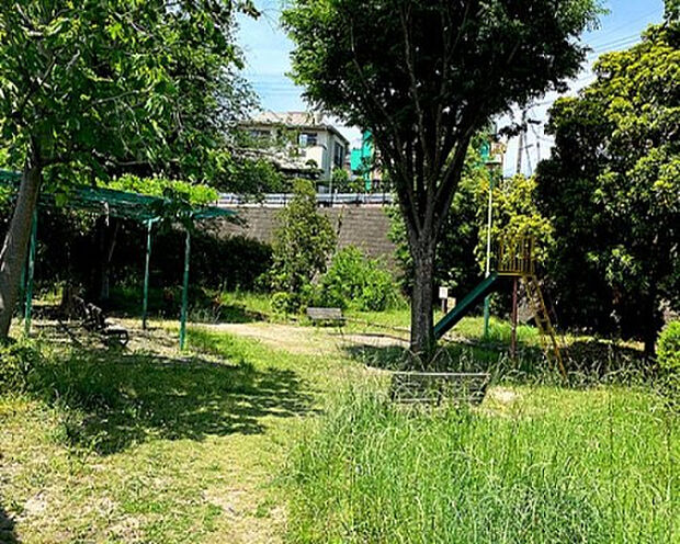 堰の山児童公園(約12m)