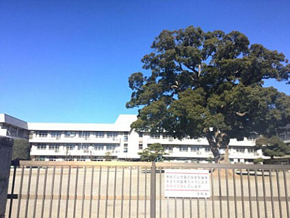 新磯小学校 1150m(徒歩15分)