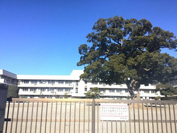 新磯小学校(約1,150m)