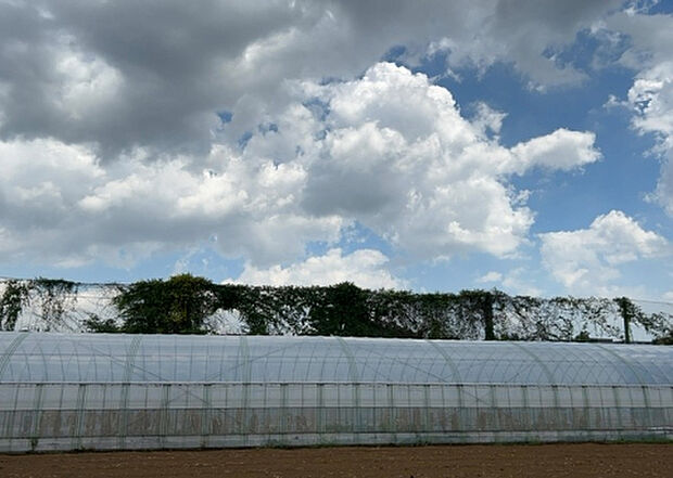 【物件からの展望_3】田園風景が味わえる土地に住みたい!海や山の見える自然豊かな土地に住みたい!などご要望に併せて当社営業がご提案させて頂きます。当社が抱えている数ある物件の中からお客様が納得する1件を一緒に探しましょう!