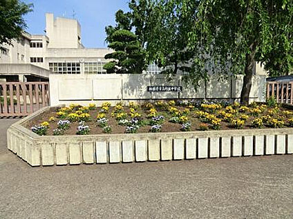 内出中学校 594m(徒歩8分)
