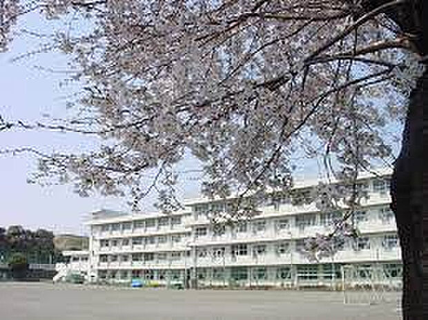 立野台小学校(約1,249m)