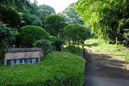 当麻山公園 928m(徒歩12分)