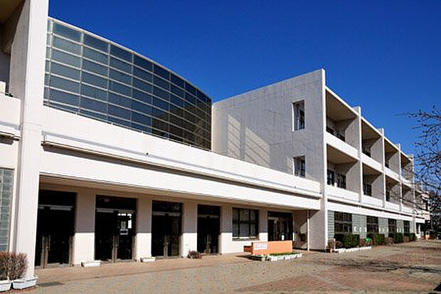 相模原市小山小学校(約231m)