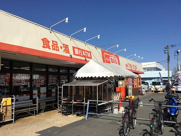 ザ・ビッグ相模原二本松店(約1,243m)