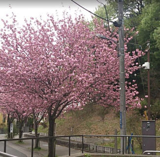 みなみ野菖蒲谷戸公園 401m(徒歩6分)