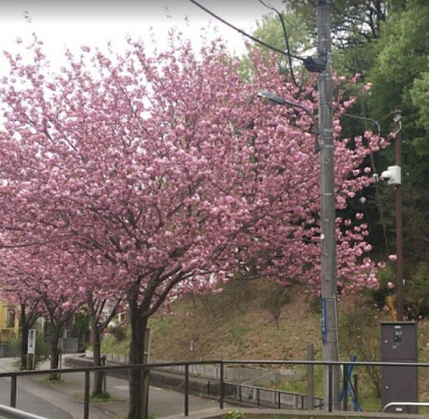 みなみ野菖蒲谷戸公園(約401m)