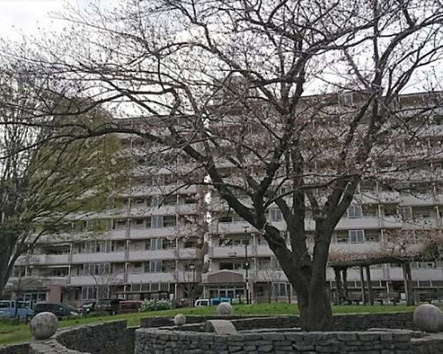 金森防災市民いこいの広場（約1,183m）