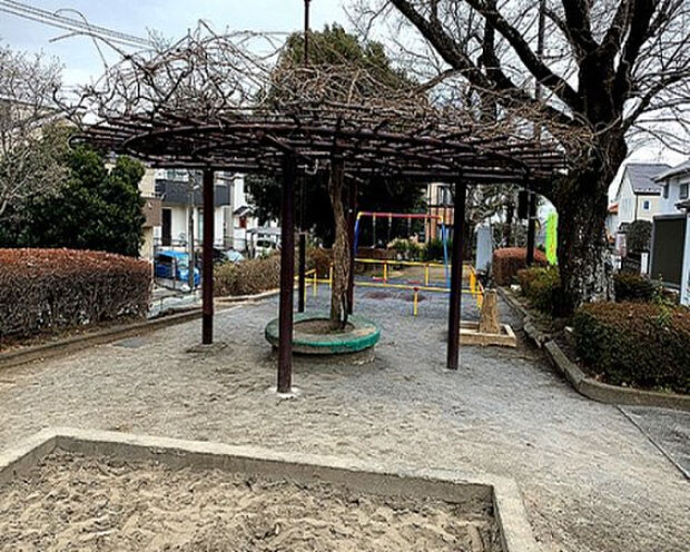 猿額公園（約335m）