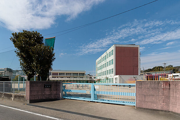 大坪小学校(約880m)