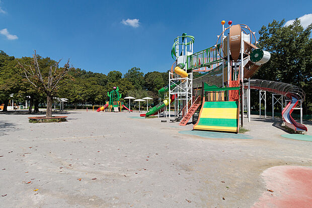 朝宮公園（約240m）