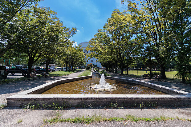 稲葉地公園(約880m)