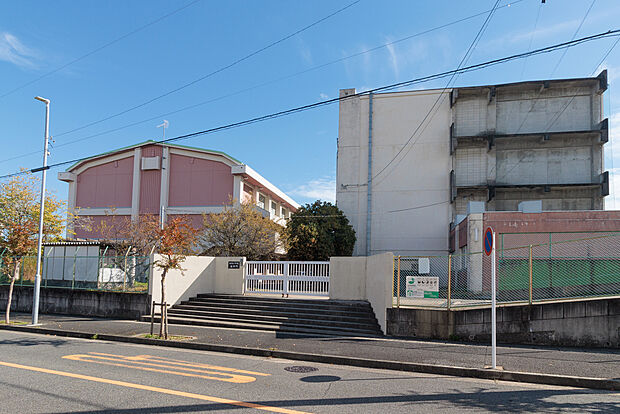 南陵小学校(約560m)