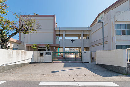 苗代小学校 800m(徒歩10分)