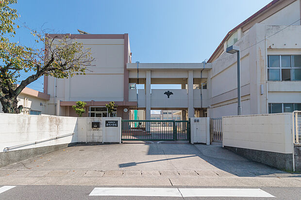 苗代小学校（約800m）