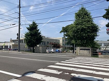 函館市立桔梗小学校  1100m(徒歩14分)