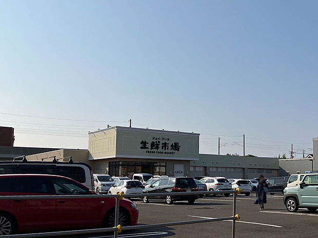 生鮮市場新川店（約480m）