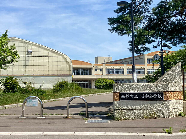 亀田小学校(約800m)