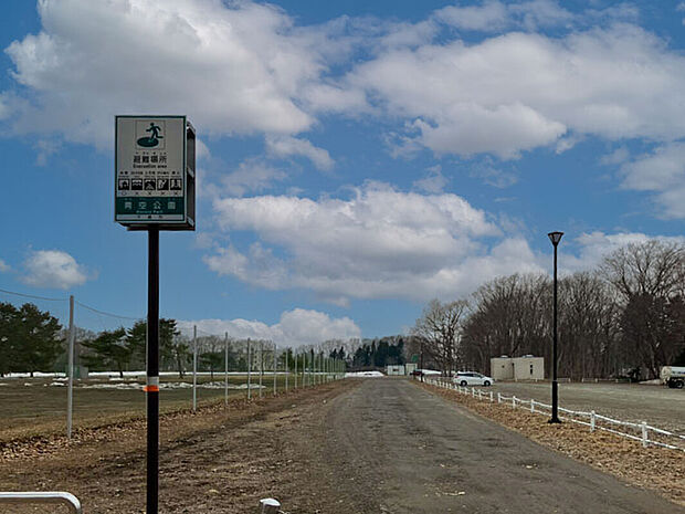青空公園(約550m)