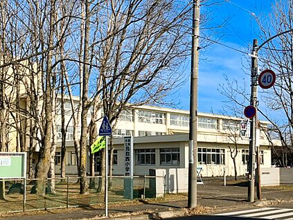 鳥取小学校 750m(徒歩10分)
