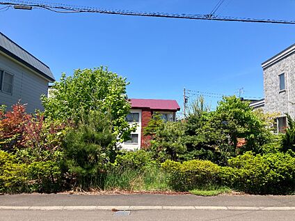 【南側 現地写真】