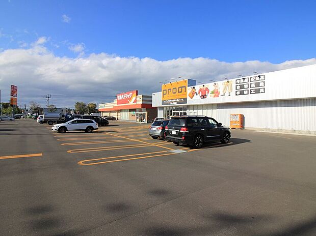 ツルハドラッグ 江別住吉店（約800m）