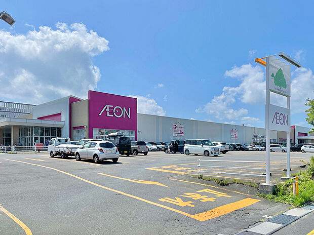 イオン八戸田向店（約700m）