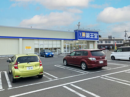 薬王堂紫波桜町店 850m(徒歩11分)