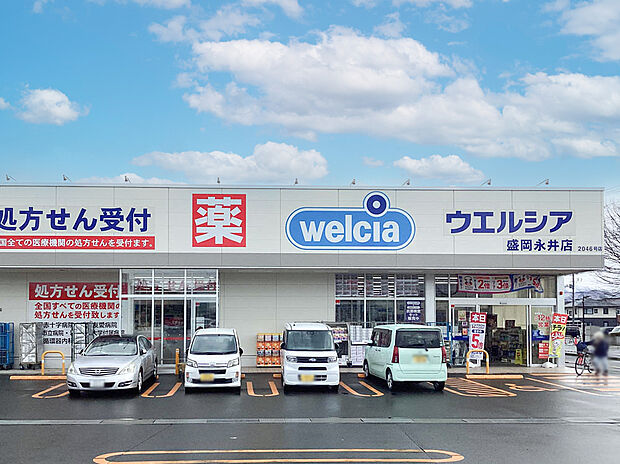 ウエルシア盛岡永井店（約1,200m）