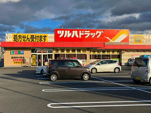 ツルハドラッグ向中野店(約450m)