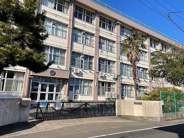 沖野小学校(約750m)