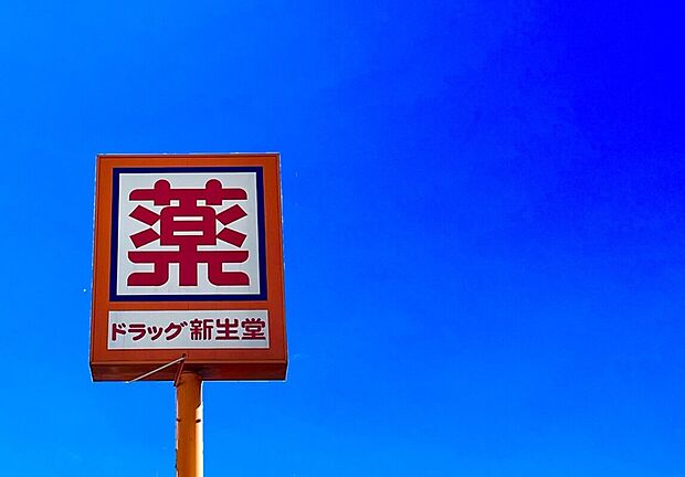 ドラッグ新生堂加布里店（約2,300m）